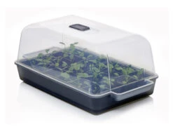 Anzucht-Gewächshaus Easy Water | Zimmergewächshaus Von Clever Pots -Samenhaus Geschäft 553911 Gewaechshaus Easy Water 050 0017 0