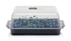 Anzucht-Gewächshaus Easy Water | Zimmergewächshaus Von Clever Pots -Samenhaus Geschäft 553911 Gewaechshaus Easy Water 050 0017 1