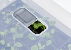 Anzucht-Gewächshaus Easy Water | Zimmergewächshaus Von Clever Pots -Samenhaus Geschäft 553911 Gewaechshaus Easy Water 050 0017 4