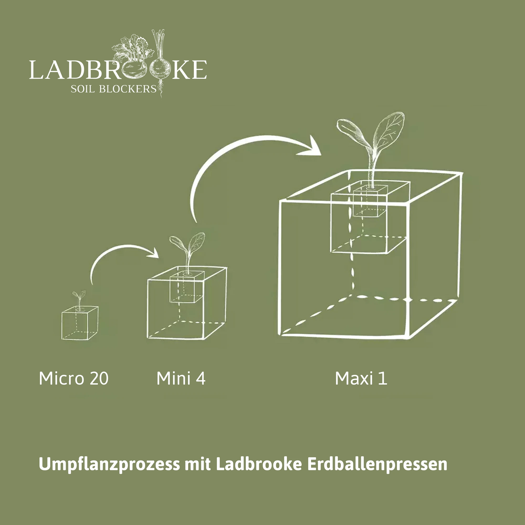 Erdballenpressen Starter Set | Erdtopfpressen Von Ladbrooke Soil Blockers 3 Erdballenpressen Starter Set | Erdtopfpressen Von Ladbrooke Soil Blockers