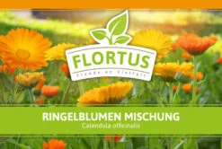 Ringelblumen Mischung | Blumenwiese Von FLORTUS -Samenhaus Geschäft 554533 Ringelblumen Mischung 1 kg 530747 Ringelblumen Mischung 1 kg 2000 0209 2