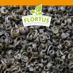 Ringelblumen Mischung | Blumenwiese Von FLORTUS -Samenhaus Geschäft 554533 Ringelblumen Mischung 1 kg 530747 Ringelblumen Mischung 1 kg 2000 0209 6