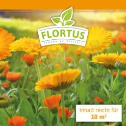 Ringelblumen Mischung | Blumenwiese Von FLORTUS -Samenhaus Geschäft 554533 Ringelblumen Mischung 2000 0727 100g 1