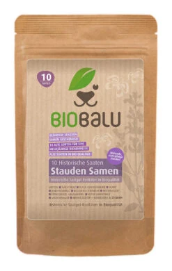 Stauden Bienenweide | BIO Bienenwiese Von Biobalu 11 Stauden Bienenweide | BIO Bienenwiese Von Biobalu -Samenhaus Geschäft 554548 BIO Stauden Bienenweide BB1023 0