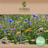 Wilde Apotheke (10 Stück) | Wildblumenwiese Von Biobalu