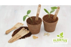 Holzstecketiketten Mit Lasergravur (10 Stück) | Pflanzenetiketten Von FLORTUS 13 Holzstecketiketten Mit Lasergravur (10 Stück) | Pflanzenetiketten Von FLORTUS -Samenhaus Geschäft 554995 Holzstecketiketten mit Lasergravur 10 Stueck 2000 0780 5