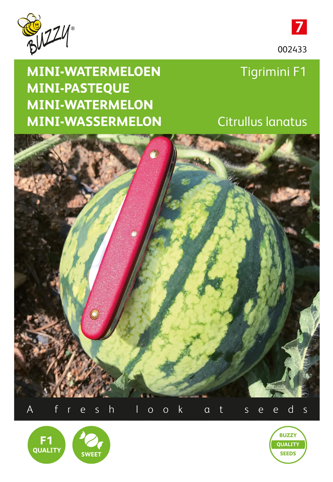 Wassermelone Tigrimini | Wassermelonensamen Von Buzzy Seeds 4 Wassermelone Tigrimini | Wassermelonensamen Von Buzzy Seeds – Bild 2