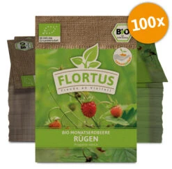 Monatserdbeere Rügen (100 Tütchen) | BIO Erdbeersamen Von FLORTUS