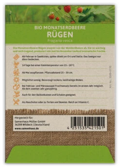 Monatserdbeere Rügen (100 Tütchen) | BIO Erdbeersamen Von FLORTUS -Samenhaus Geschäft 555103 BIO Monatserdbeere Ruegen 100 Tuetchen 2000 0770 100x 2