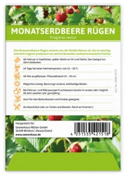 Monatserdbeere Rügen (100 Tütchen) | Erdbeersamen Von FLORTUS -Samenhaus Geschäft 555104 Monatserdbeere Ruegen 100 Tuetchen 2000 0771 100x 2