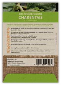 Zuckermelone Charentaise (100 Tütchen) | BIO Zuckermelonensamen Von FLORTUS