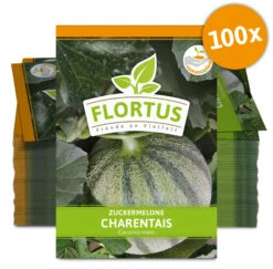 Zuckermelone Charentaise (100 Tütchen) | Zuckermelonensamen Von FLORTUS -Samenhaus Geschäft 555107 Zuckermelone Charentais 100 Tuetchen 2000 0774 100x 0