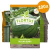 Wassermelone Sugar Baby (100 Tütchen) | BIO Wassermelonensamen Von FLORTUS -Samenhaus Geschäft 555109 Wassermelone Sugar Baby 100 Tuetchen 2000 0776 100x 0
