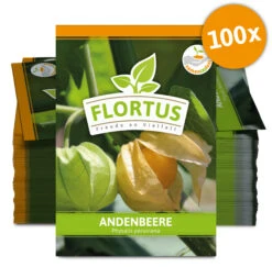 Andenbeere (100 Tütchen) | Andenbeerensamen Von FLORTUS -Samenhaus Geschäft 555111 Andenbeere 100 Tuetchen 2000 0778 100x 0