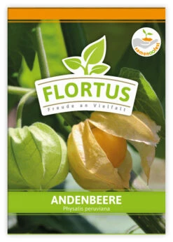 Andenbeere (100 Tütchen) | Andenbeerensamen Von FLORTUS