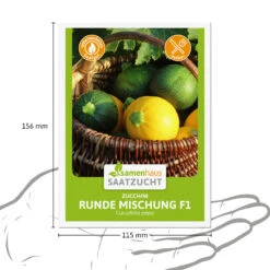 Zucchini Runde Mischung F1 | Zucchinisamen Von Samenhaus Saatzucht -Samenhaus Geschäft 556224 Zucchini Runde Mischung F1 15 Korn 2000 0800 3