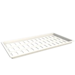 Secret Jardin Plastic Tray, 53 X 26 X 2 Cm -Samenhaus Geschäft 556699 Secret Jardin Plastic Tray 53 x 26 x 2 cm 533191 Secret Jardin DP 120 Rev 1 0 Plastic Tray