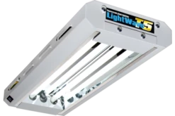 Lightwave T5 22 - HO Stecklingsbeleuchtung, 48 W