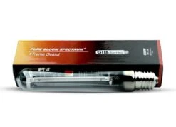 GIB Lighting Pure Bloom Spectrum XTreme Output, 600 W | Natriumdampflampe