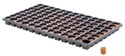 Eazy Plug Anzuchtwürfel CT104, Rund, 3,5 X 2 Cm, Tray Mit 104 St. | Anzuchttray -Samenhaus Geschäft 557342 Eazy Plug Anzuchtwuerfel CT104 rund 3 5 x 2 cm Tray mit 104 St 534573 Eazy Plug Stecklingstrays 104 St rund klein 2