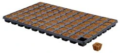 Eazy Plug Anzuchtwürfel CT77, 3,5 X 3,5 Cm, Tray Mit 77 Stk. | Anzuchttray -Samenhaus Geschäft 557344 Eazy Plug Anzuchtwuerfel CT77 3 5 x 3 5 cm Tray mit 77 Stk 533627 Eazy Plug Anzuchtwuerfel 3 5x3 5 cm Tray mit 77 St