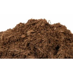 CANNA Terra Professional Plus, 50 L | Erdsubstrat -Samenhaus Geschäft 558143 CANNA Terra Professional Plus 50 l 526279 CANNA Terra Professional Plus 50 l 1