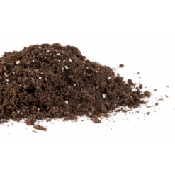 CANNA Terra Professional, 50 L | Erdsubstrat -Samenhaus Geschäft 558145 CANNA Terra Professional 50 l 526281 CANNA Terra Professional 50 l 1