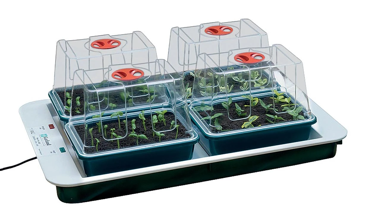 59 X 41 X 20 Cm Elektrisches Zimmergewächshaus 4 Top (4 Stück) | Zimmergewächshaus Von Garland 5 59 X 41 X 20 Cm Elektrisches Zimmergewächshaus 4 Top (4 Stück) | Zimmergewächshaus Von Garland – Bild 3