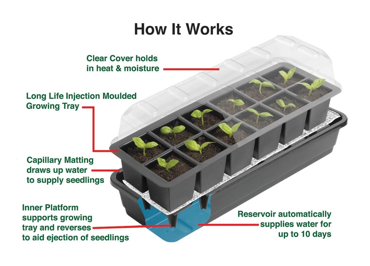 24 Töpfe Selbstbewässerungs -Anzuchtset | Anzuchtschalen Von Garland 7 24 Töpfe Selbstbewässerungs -Anzuchtset | Anzuchtschalen Von Garland – Bild 5