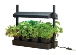 Micro Grow Light Garten | Zimmergewächshaus Von Garland 11 Micro Grow Light Garten | Zimmergewächshaus Von Garland -Samenhaus Geschäft 558806 50 x 20 x 45 cm Micro Grow Light Garten Schwarz G187BEU gl 0