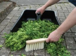 55 X 49 X 16,5 Cm Jumbo Kehrschaufel &amp; Besen | Gartenzubehör Von Garland -Samenhaus Geschäft 558817 55 x 49 x 16 5 cm Jumbo Kehrschaufel und Besen G205 gl 2