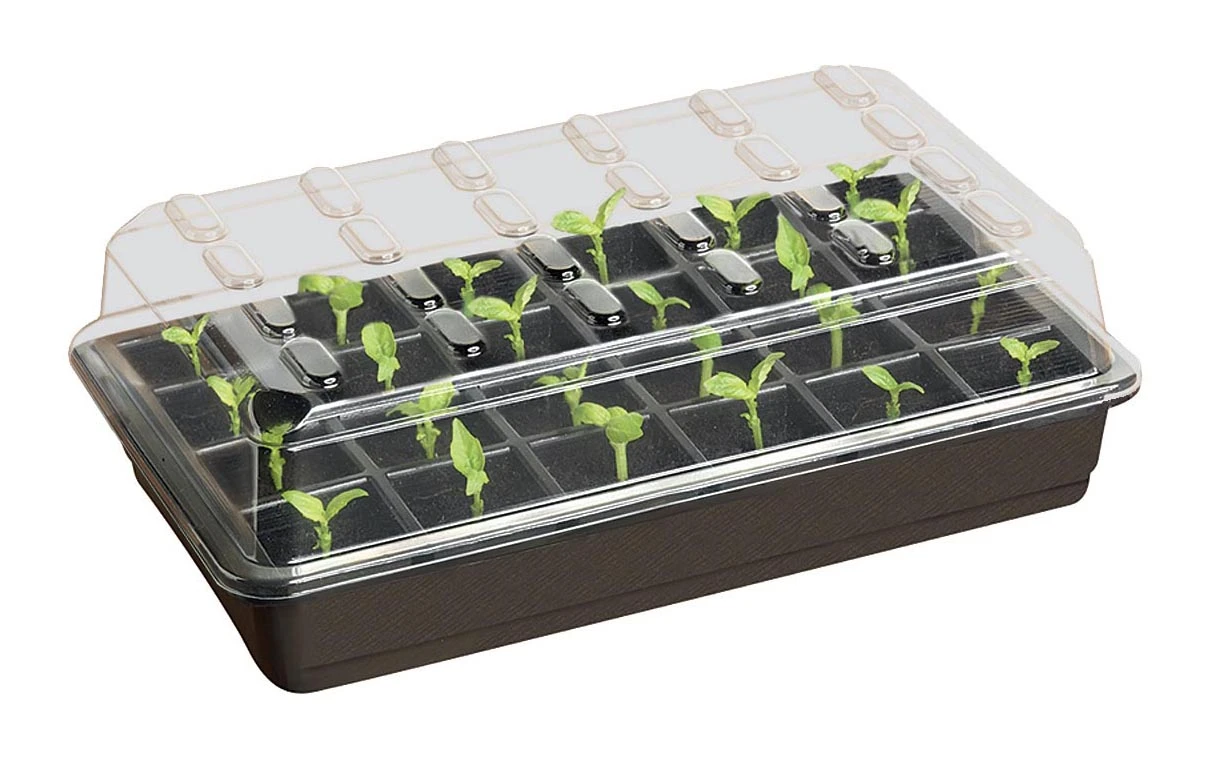 55 X 49 X 16,5 Cm 24 Töpfe Starter Set | Anzuchtschalen Von Garland 3 55 X 49 X 16,5 Cm 24 Töpfe Starter Set | Anzuchtschalen Von Garland