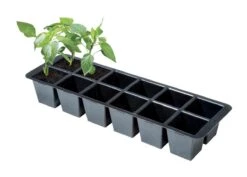 Premium Anzuchtschale (2 Stück) | Anzuchtschalen Von Garland