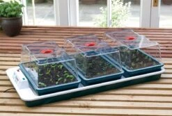 80,5 X 41 X 20 Cm Elektrisches Zimmergewächshaus Big 3 (3 Stück) | Zimmergewächshaus Von Garland -Samenhaus Geschäft 558839 80 5 x 41 x 20 cm Elektrisches Zimmergewaechshaus Big 3 3 Stueck mit EU Stecker G78EU gl 2