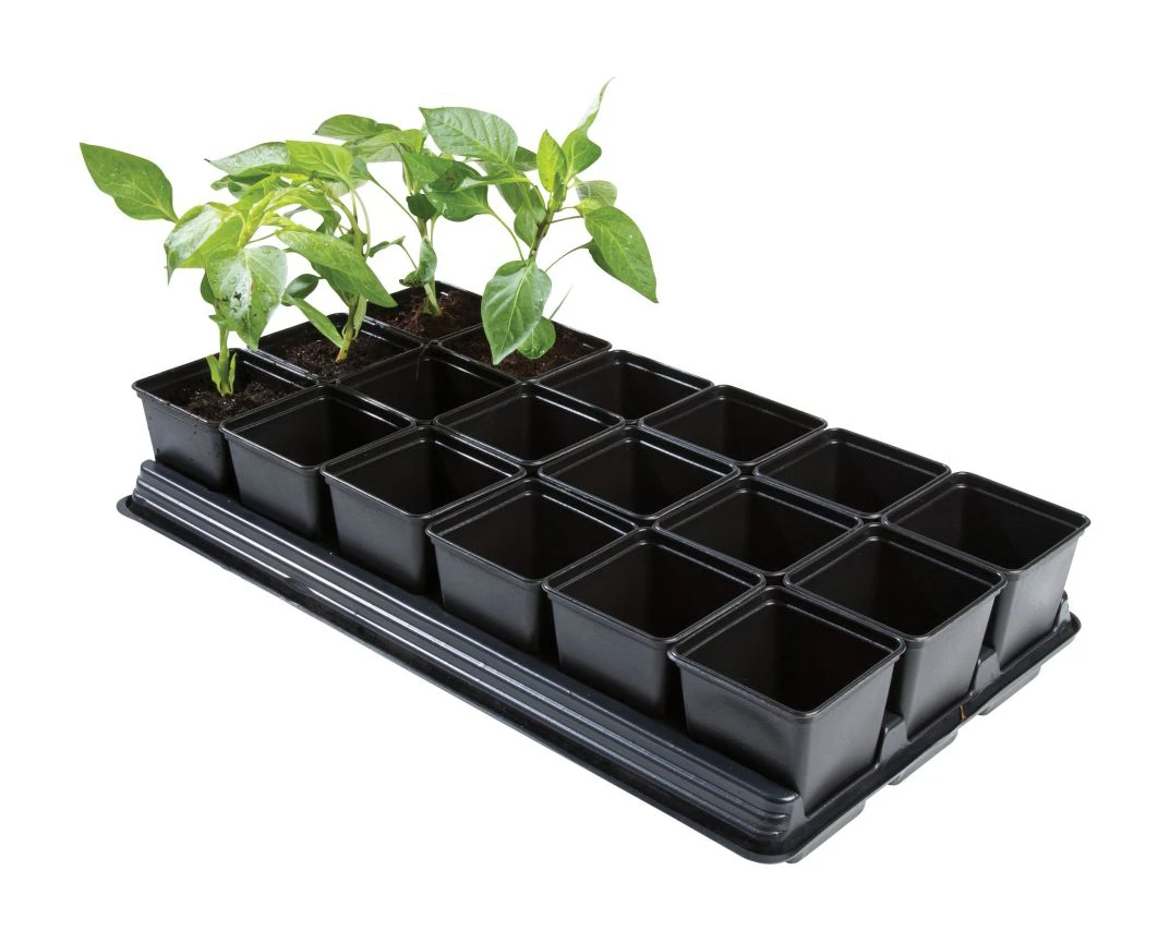 54,5 X 31 X 10 Cm Professionelles Anzucht-Komplettset Groß | Anzucht-Komplettset Von Garland 4 54,5 X 31 X 10 Cm Professionelles Anzucht-Komplettset Groß | Anzucht-Komplettset Von Garland – Bild 2