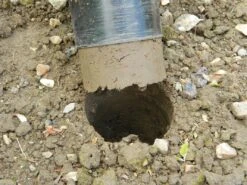 28 X 26 X 7,5 Cm Kurzstieliger Blumenzwiebel Pflanzer | Gartenzubehör Von Garland -Samenhaus Geschäft 558875 28 x 26 x 7 5 cm Kurzstieliger Blumenzwiebel Pflanzer W0474 gl 6