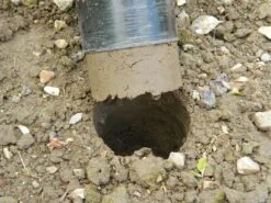 88 X 30,5 X 7,5 Cm Langstieliger Blumenzwiebel Pflanzer | Gartenzubehör Von Garland -Samenhaus Geschäft 558876 88 x 30 5 x 7 5 cm Langstieliger Blumenzwiebel Pflanzer W0475 gl 7