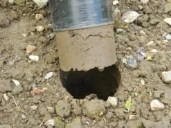 88 X 30,5 X 7,5 Cm Langstieliger Blumenzwiebel Pflanzer | Gartenzubehör Von Garland -Samenhaus Geschäft 558876 88 x 30 5 x 7 5 cm Langstieliger Blumenzwiebel Pflanzer W0475 gl 8