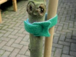 15 Cm Pflanzenbefestigung (10 Stück) | Gartenzubehör Von Garland -Samenhaus Geschäft 558881 15 cm Pflanzenbefestigung 10 Stueck W0894 gl 1