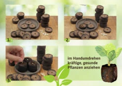 36 Mm Torf Quelltabletten | Torf Quelltabletten Von FLORTUS -Samenhaus Geschäft 558921 36 mm Torf Quelltabletten 2000 0977 36x 2