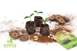 36 Mm Torf Quelltabletten | Torf Quelltabletten Von FLORTUS -Samenhaus Geschäft 558921 36 mm Torf Quelltabletten 2000 0977 36x 6