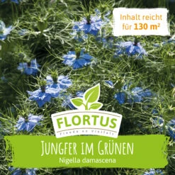 Wiesenblume Jungfer Im Grünen (100 G) | Jungfer Im Grünen Samen Von FLORTUS -Samenhaus Geschäft 558927 Wiesenblume Jungfer im Gruenen 100 g 2000 0877 0