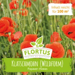 Wiesenblume Klatschmohn (50 G) | Mohnsamen Von FLORTUS -Samenhaus Geschäft 558928 Wiesenblume Klatschmohn 50 g 2000 0878 0