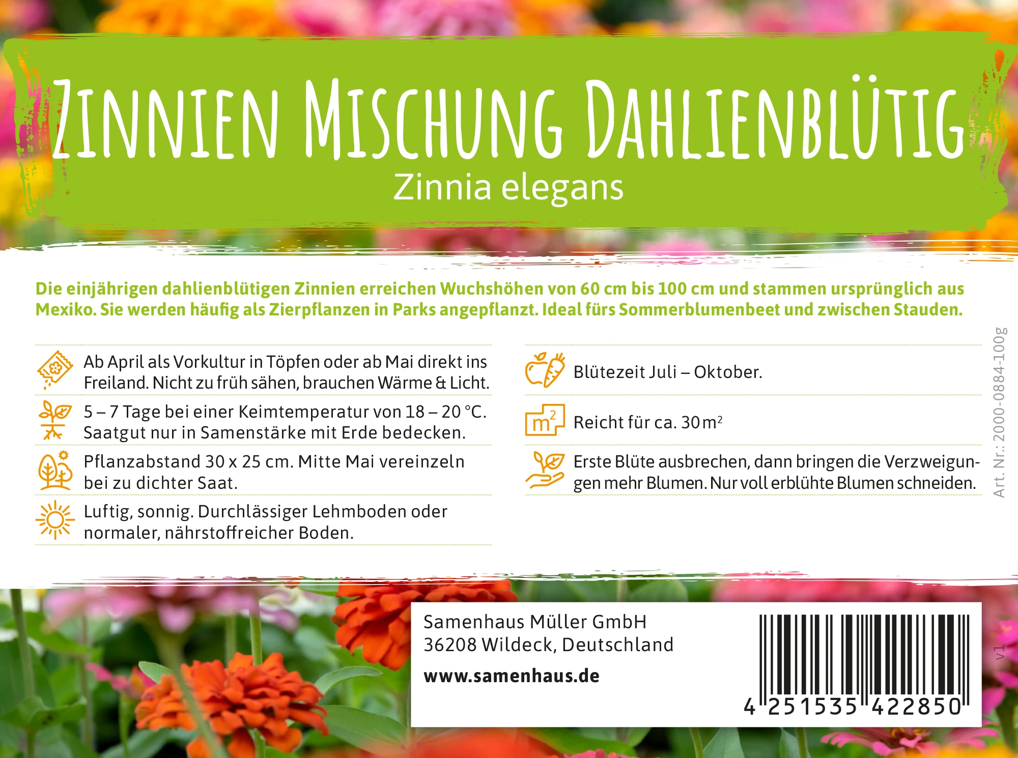 Wiesenblume Zinnien Mischung Dahlienblütig (100 G) | Zinniensamen Von FLORTUS 3 Wiesenblume Zinnien Mischung Dahlienblütig (100 G) | Zinniensamen Von FLORTUS
