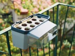 HARRY HERBS Kräutertopf Hellgrau | Kräutertöpfe Von Gusta Garden -Samenhaus Geschäft 560334 HARRY HERBS hellgrau 100B10 gg 1