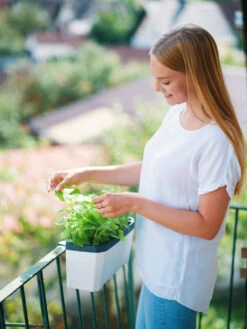 HARRY HERBS Kräutertopf Weiß | Kräutertöpfe Von Gusta Garden -Samenhaus Geschäft 560336 HARRY HERBS weiss 102B10 gg 1