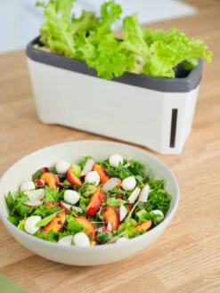 HARRY HERBS Kräutertopf Weiß | Kräutertöpfe Von Gusta Garden -Samenhaus Geschäft 560336 HARRY HERBS weiss 102B10 gg 4