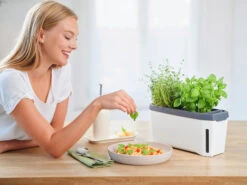 HARRY HERBS Kräutertopf Weiß | Kräutertöpfe Von Gusta Garden -Samenhaus Geschäft 560336 HARRY HERBS weiss 102B10 gg 8