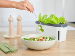 HARRY HERBS Weiß Ohne Haube | Kräutertöpfe Von Gusta Garden -Samenhaus Geschäft 560337 HARRY HERBS weiss ohne Haube 102B20 gg 5