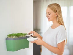 HARRY HERBS Dunkelgrün Ohne Haube | Kräutertöpfe Von Gusta Garden -Samenhaus Geschäft 560339 HARRY HERBS dunkelgruen ohne Haube 103B20 gg 3